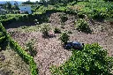 dji_fly_20240708_091700_806_1720448519650_photo.webp