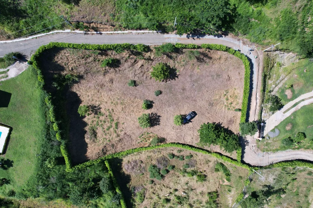 dji_fly_20240708_091048_786_1720448551832_photo.webp