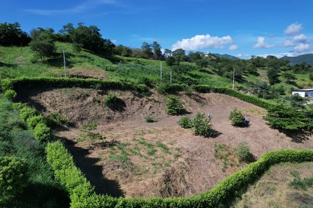 dji_fly_20240708_091834_814_1720448504048_photo.webp