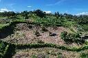 dji_fly_20240708_091852_815_1720448501777_photo.webp