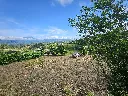 20240708_083759 (1).webp