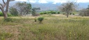 LOTE SANTA FE DE ANTIOQUIA